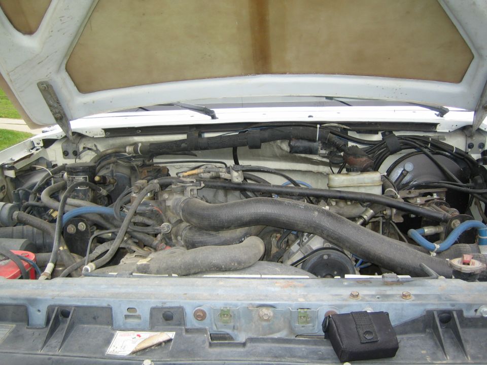 Engine bay of a vehicle viewed under open hood with hoses, master cylinder and battery