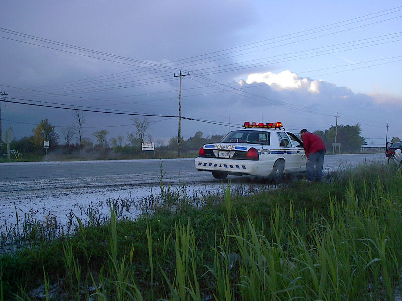 Rear view of white Crown Victoria police cruiser on wet rural roadside at dusk