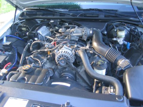 1999 Ford Crown Victoria - Engine Pic 1. I didnt clean it too good beacuse I didnt want to hurt anything electrical.