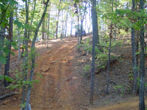 2004 Jeep Wrangler - An ATV is seen on a steep dirt incline surrounded by trees.
