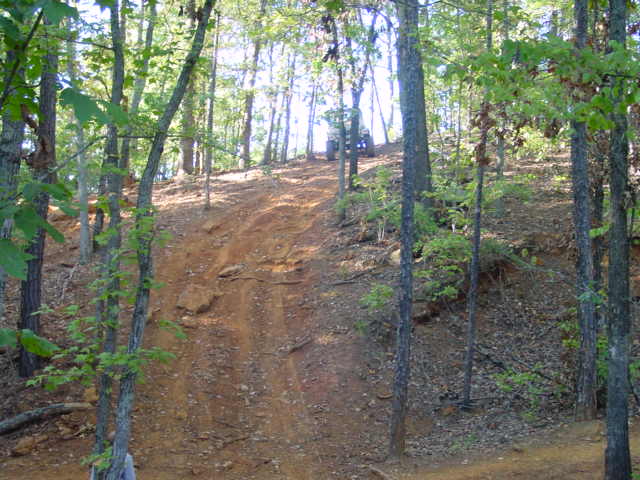 ATV on a dirt hill in a wooded area