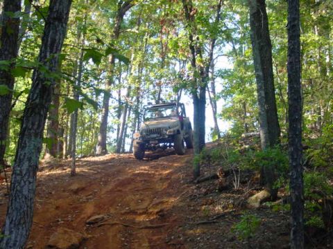 2004 Jeep Wrangler - A 2004 Jeep TJ navigates a steep, wooded trail.