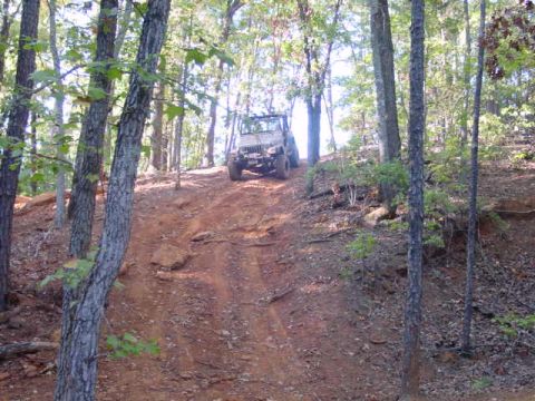 2004 Jeep Wrangler - A Jeep Wrangler navigates an off-road trail through a dense forest.