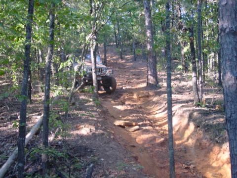 2004 Jeep Wrangler - A 2004 Jeep Wrangler navigates a challenging dirt trail through a dense forest.