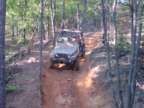 2004 Jeep Wrangler - A Jeep TJ navigates a steep, rutted dirt path surrounded by trees.