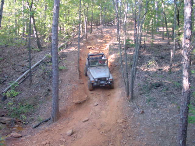 Silver Jeep Wrangler climbing a steep dirt trail in a wooded area