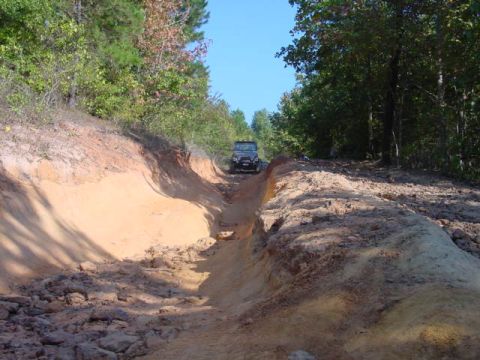 2004 Jeep Wrangler - A black Jeep TJ navigates a challenging dirt trail surrounded by dense foliage.