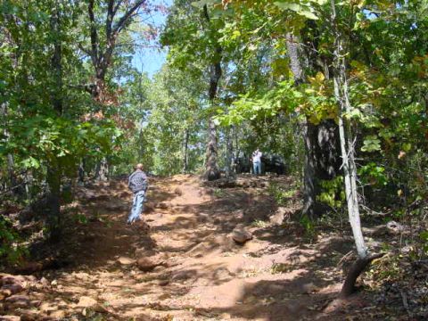 2004 Jeep Wrangler - Two individuals stand on a dirt path in a forest, with a Jeep visible further up the trail.