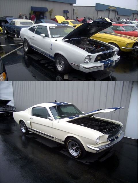 2002 Ford Mustang - A white 1975 Ford Mustang with blue racing stripes and its hood open is parked on a wet surface, with other vehicles visible in the backgro…