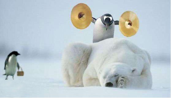 Humor photo of a penguin holding cymbals behind a sleeping polar bear, second penguin walking off