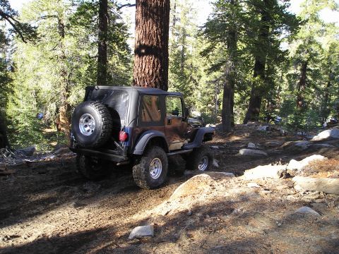 1986 Ford Bronco II