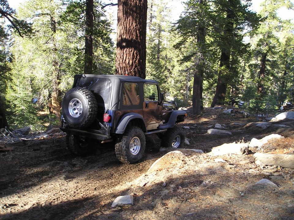 Black Jeep Wrangler on a dirt trail in a forest
