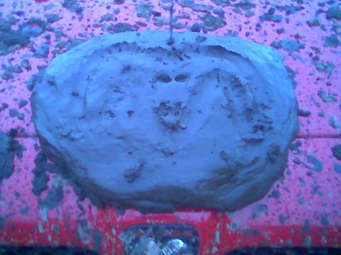 1976 GMC C/K Pickup - Mud obscures the emblem on this red vehicle's hood, making year identification impossible.