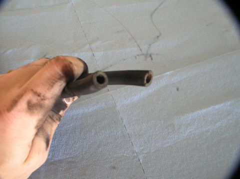2000 Ford Excursion - A hand, smudged with grease, holds two short, dark rubber hoses.