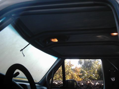 1978 Ford Bronco - The interior of a vehicle is shown, a roll cage and a view of the outdoors through the side window.
