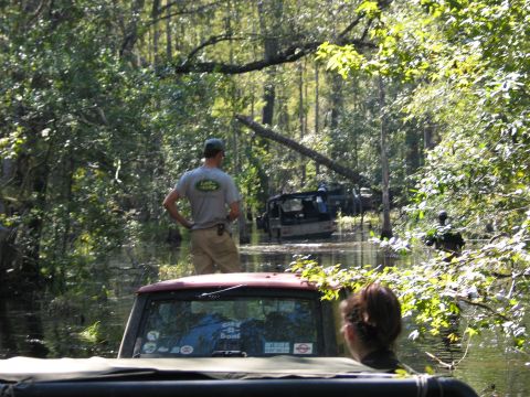 1992 Ford Bronco - Off-road vehicles submerged in water surrounded by dense foliage.