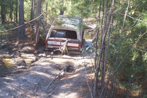 1987 Ford Bronco - A 1987 Ford Bronco is stuck in a muddy, wooded area, with its rear facing the camera.