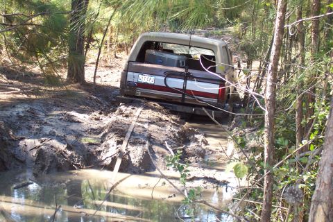 1987 Ford Bronco - This 1987 Ford Bronco is stuck deep in the mud on a wooded trail.