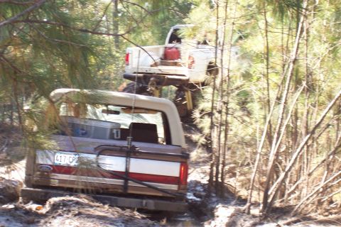 1987 Ford Bronco - Two modified trucks navigate a wooded trail, with one vehicle closely following the other.