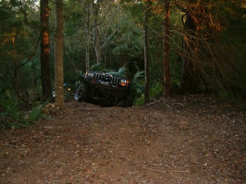 1991 Ford Bronco - A black SUV is stuck on its side in a dense forest.