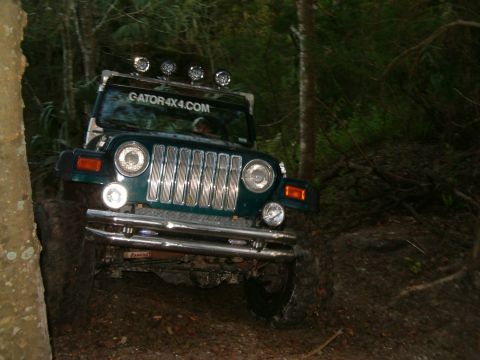 1991 Ford Bronco - Jeep Wrangler navigating a wooded trail with a prominent chrome grille and auxiliary lights.