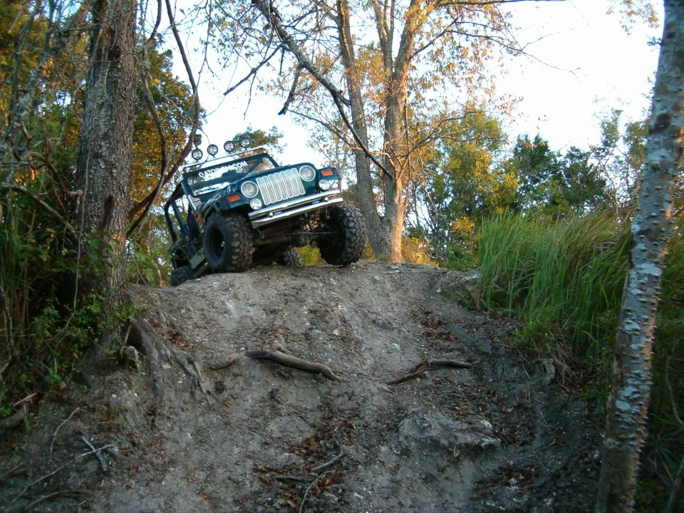 Jeep Wrangler climbing a dirt hill with trees around. It has a roll cage and extra lights on top
