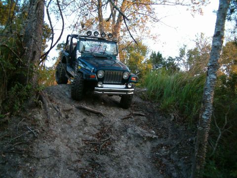 1991 Ford Bronco - A dark blue Jeep Wrangler navigates an off-road trail with tall grass and trees.
