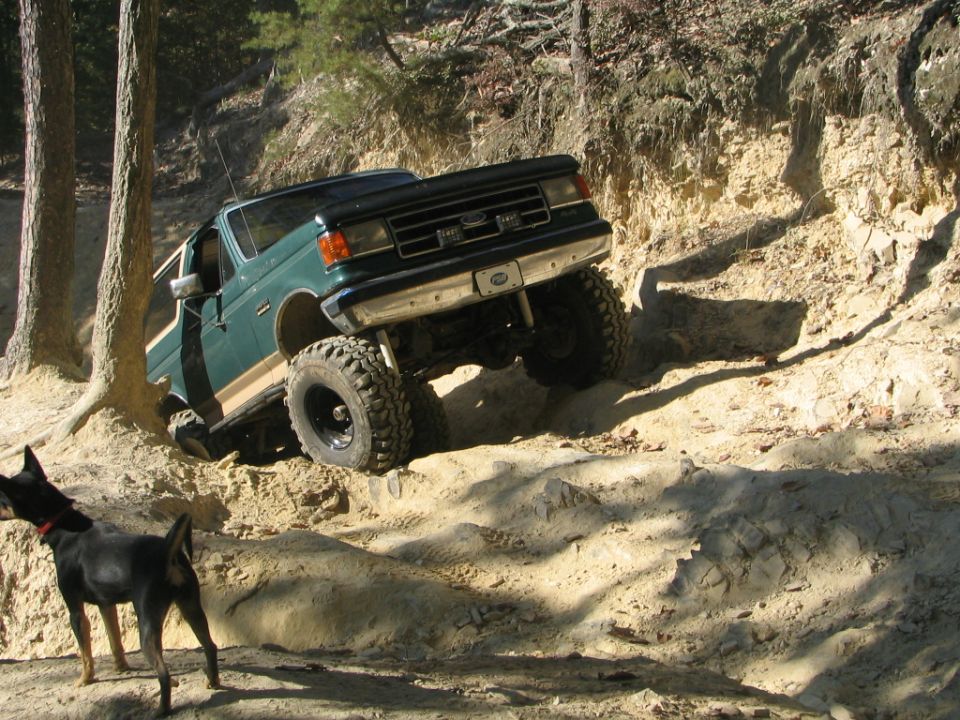 Me climbing the ledge on Daniel.  All day I kept expecting this dog to get run over, he was not afraid at all.