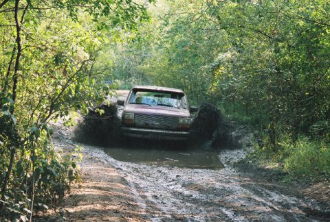 1993 Ford Bronco - awww just another day in the park