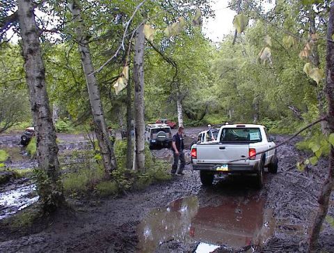 1978 Ford Bronco - Several off-road vehicles navigate a muddy path through a dense forest.