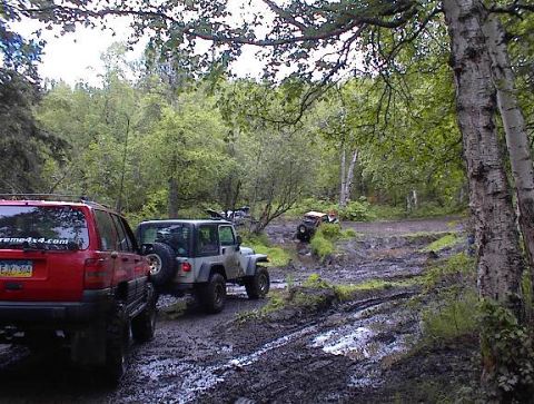 1978 Ford Bronco - Several off-road vehicles navigate a challenging muddy course surrounded by dense foliage.