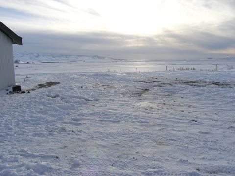 2001 Jeep Wrangler - A winter scene shows a building and snow-covered ground with distant mountains.