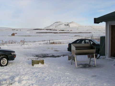 2001 Jeep Wrangler - A dark sedan is parked in a snowy yard with a mountain range visible in the distance.