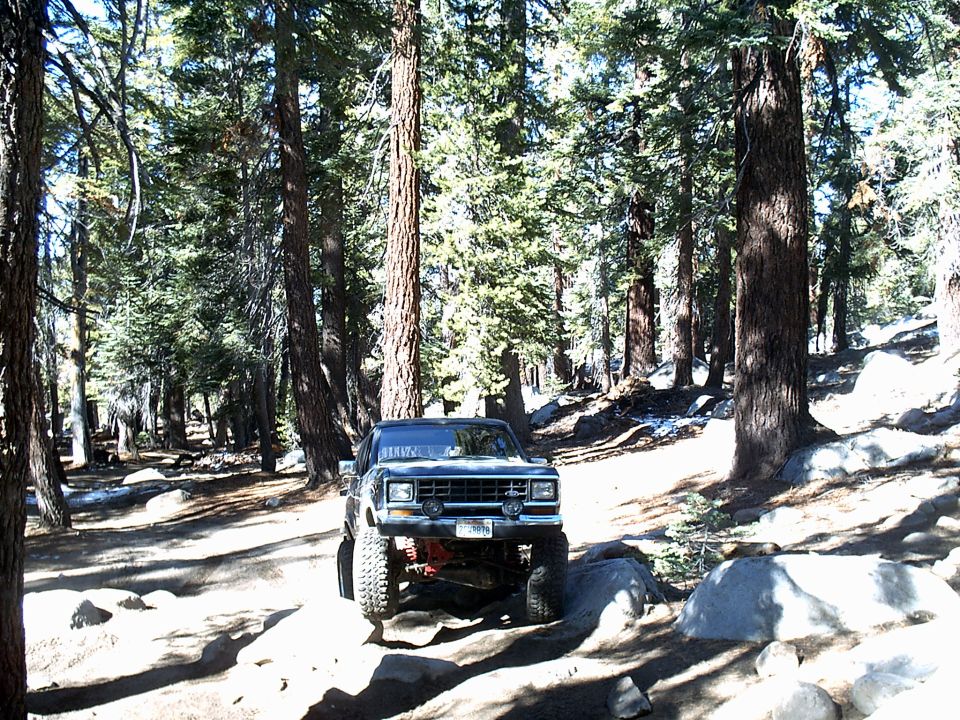 Ford Bronco II on rocky trail in forest