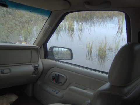 2000 Chevrolet Tahoe - The vehicle's interior shows a view of tall grass and water outside the windows.
