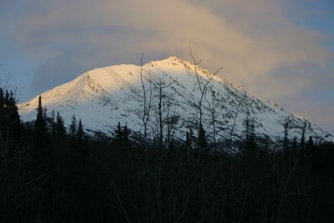 2003 Jeep TJ - A snow-covered mountain is lit by the setting sun, seen through silhouetted trees.