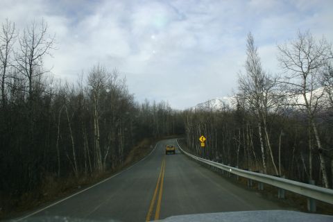 2003 Jeep TJ - A yellow SUV travels down a rural road surrounded by trees, with a warning sign visible on the roadside.