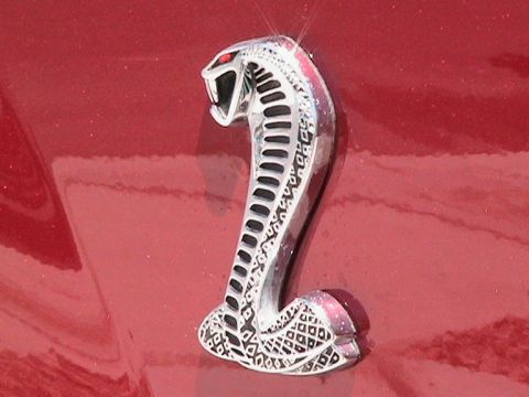 1979 Ford Bronco - A chrome cobra emblem with red eyes is affixed to the red paint of a vehicle.