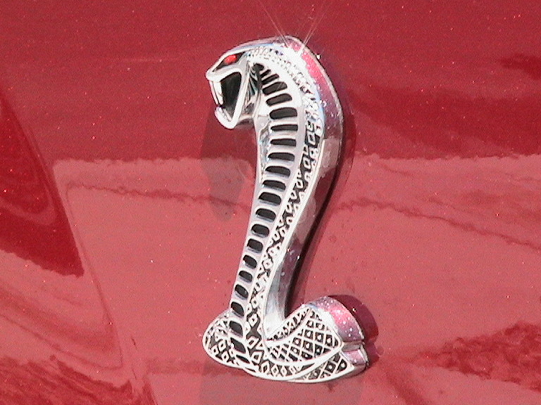Close-up of a chrome cobra emblem with red eyes on a red car