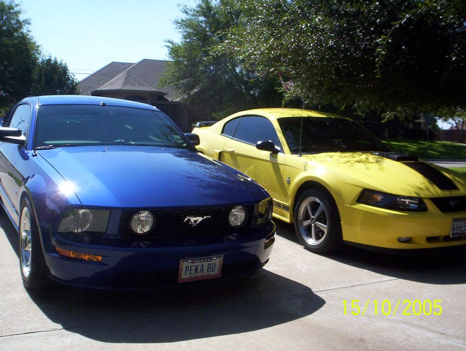 Blue Mustang GT and yellow Mustang coupe parked on a driveway