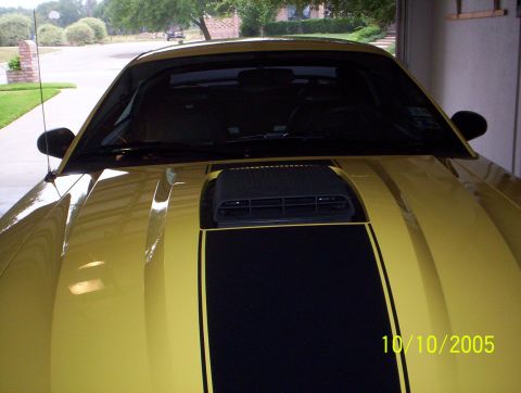 2003 Ford Mustang - Front view of a yellow 2003 Ford Mustang Mach 1 with a black stripe on the hood.