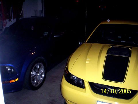 2003 Ford Mustang - Two Ford Mustangs are parked indoors, one yellow and one blue, with a date stamp of 14/10/2005 visible.