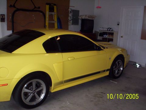 2003 Ford Mustang - A yellow 2003 Ford Mustang coupe is parked in a garage, showing its side profile and front quarter.