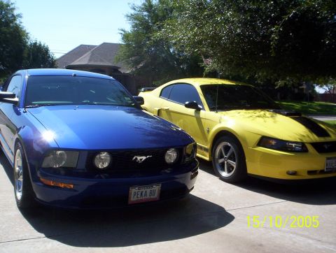 2005 Ford Mustang - Siblings