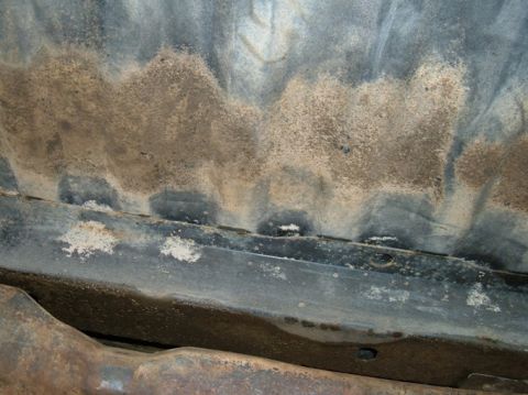 1983 Ford Bronco photo
