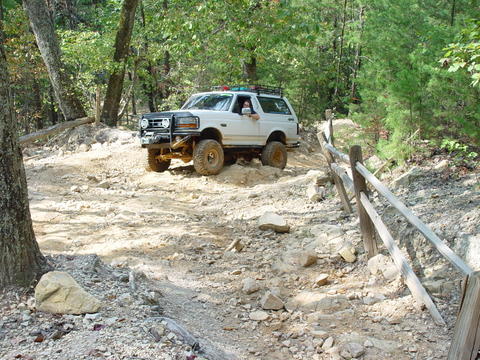 1996 Ford Bronco - This SUV is navigating a challenging off-road path, surrounded by dense woodland.