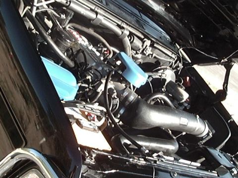 1996 Ford Bronco - Some of the modifications on the engine