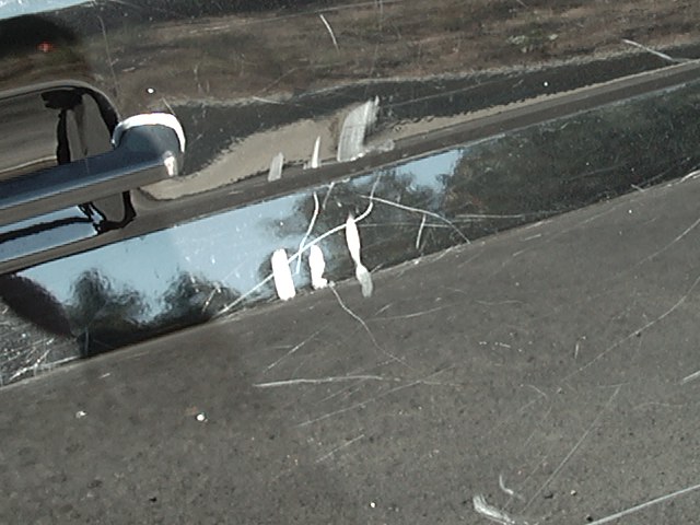 ANd this is what happens when you don't take down the basket-ball net during a hurricane