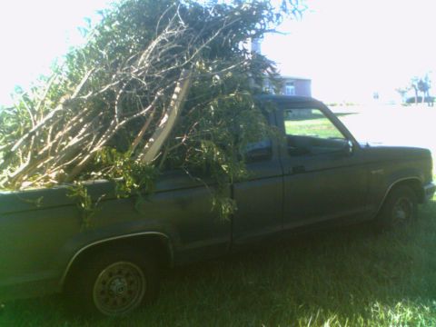 1990 Ford Ranger photo