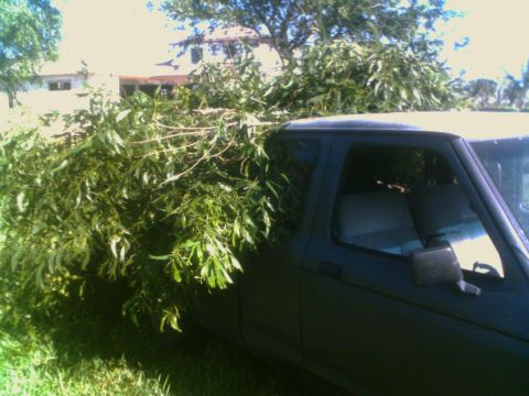 1990 Ford Ranger photo
